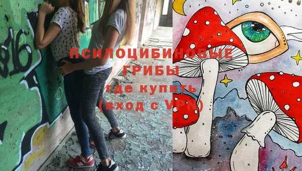 а пвп мука Дмитриев